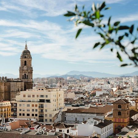 Homely Malaga Cienfuegos, Plaza De La Merced Con Vistas ภายนอก รูปภาพ
